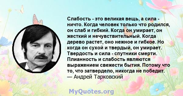 Слабость - это великая вещь, а сила - ничто. Когда человек только что родился, он слаб и гибкий. Когда он умирает, он жесткий и нечувствительный. Когда дерево растет, оно нежное и гибкое. Но когда он сухой и твердый, он 