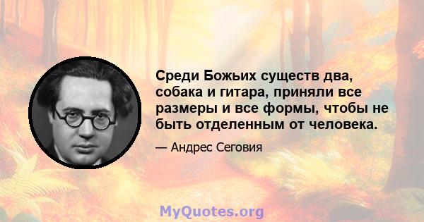 Среди Божьих существ два, собака и гитара, приняли все размеры и все формы, чтобы не быть отделенным от человека.