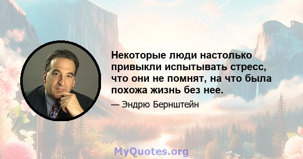 Некоторые люди настолько привыкли испытывать стресс, что они не помнят, на что была похожа жизнь без нее.