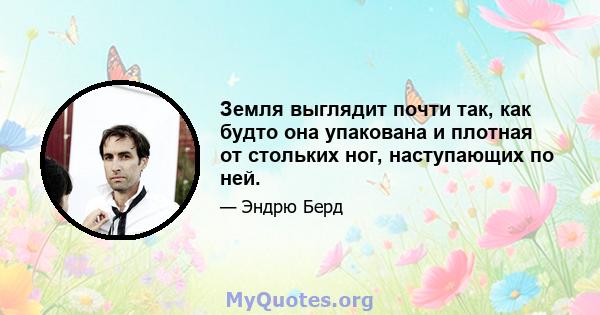 Земля выглядит почти так, как будто она упакована и плотная от стольких ног, наступающих по ней.