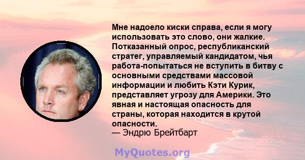 Мне надоело киски справа, если я могу использовать это слово, они жалкие. Потказанный опрос, республиканский стратег, управляемый кандидатом, чья работа-попытаться не вступить в битву с основными средствами массовой