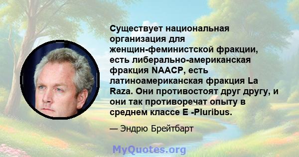 Существует национальная организация для женщин-феминистской фракции, есть либерально-американская фракция NAACP, есть латиноамериканская фракция La Raza. Они противостоят друг другу, и они так противоречат опыту в