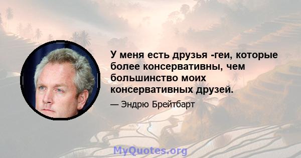 У меня есть друзья -геи, которые более консервативны, чем большинство моих консервативных друзей.