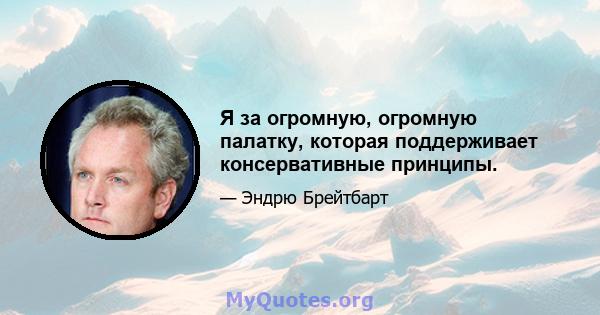 Я за огромную, огромную палатку, которая поддерживает консервативные принципы.