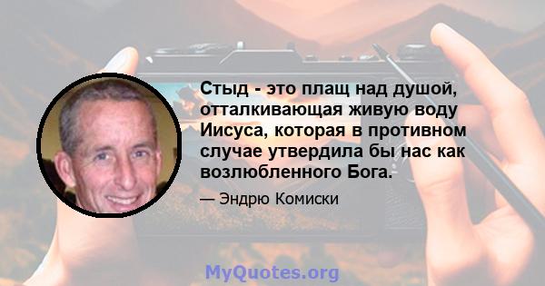 Стыд - это плащ над душой, отталкивающая живую воду Иисуса, которая в противном случае утвердила бы нас как возлюбленного Бога.