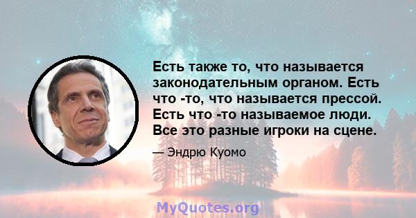 Есть также то, что называется законодательным органом. Есть что -то, что называется прессой. Есть что -то называемое люди. Все это разные игроки на сцене.