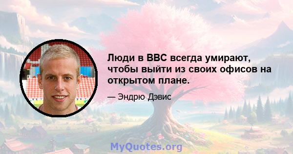 Люди в BBC всегда умирают, чтобы выйти из своих офисов на открытом плане.