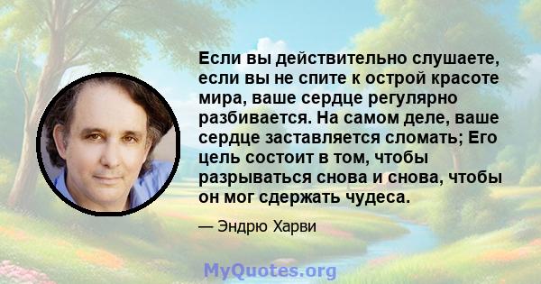 Если вы действительно слушаете, если вы не спите к острой красоте мира, ваше сердце регулярно разбивается. На самом деле, ваше сердце заставляется сломать; Его цель состоит в том, чтобы разрываться снова и снова, чтобы