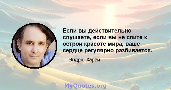 Если вы действительно слушаете, если вы не спите к острой красоте мира, ваше сердце регулярно разбивается.