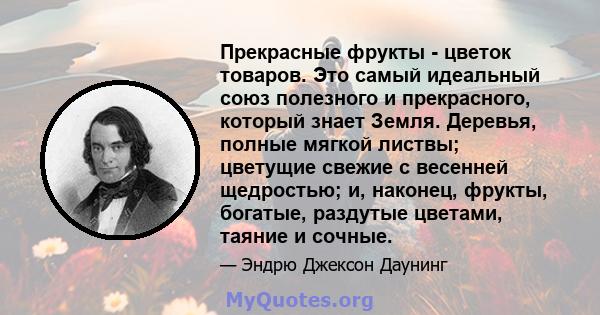 Прекрасные фрукты - цветок товаров. Это самый идеальный союз полезного и прекрасного, который знает Земля. Деревья, полные мягкой листвы; цветущие свежие с весенней щедростью; и, наконец, фрукты, богатые, раздутые