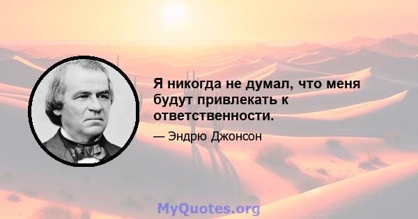 Я никогда не думал, что меня будут привлекать к ответственности.