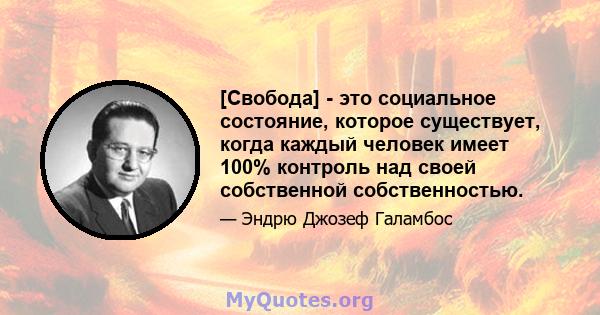 [Свобода] - это социальное состояние, которое существует, когда каждый человек имеет 100% контроль над своей собственной собственностью.