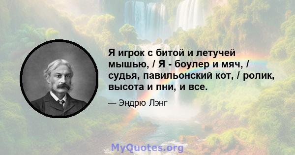 Я игрок с битой и летучей мышью, / Я - боулер и мяч, / судья, павильонский кот, / ролик, высота и пни, и все.