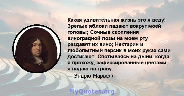 Какая удивительная жизнь это я веду! Зрелые яблоки падают вокруг моей головы; Сочные скопления виноградной лозы на моем рту раздавят их вино; Нектарин и любопытный персик в моих руках сами достигают; Спотываясь на дыни, 