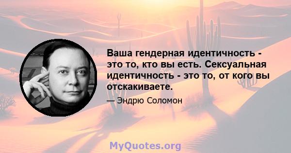 Ваша гендерная идентичность - это то, кто вы есть. Сексуальная идентичность - это то, от кого вы отскакиваете.