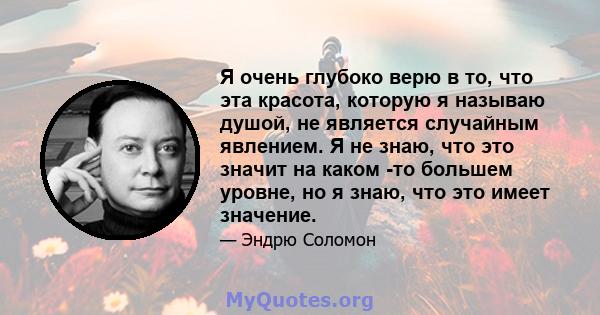 Я очень глубоко верю в то, что эта красота, которую я называю душой, не является случайным явлением. Я не знаю, что это значит на каком -то большем уровне, но я знаю, что это имеет значение.