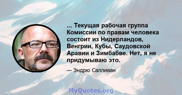 ... Текущая рабочая группа Комиссии по правам человека состоит из Нидерландов, Венгрии, Кубы, Саудовской Аравии и Зимбабве. Нет, я не придумываю это.