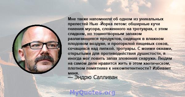 Мне также напомнили об одном из уникальных прелестей Нью -Йорка летом: обширные кучи гниения мусора, сложенного на тротуарах, с этим сладким, но тошнотворным запахом разлагающихся продуктов, сидящих в влажном плодовом