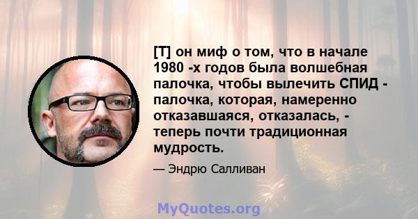 [T] он миф о том, что в начале 1980 -х годов была волшебная палочка, чтобы вылечить СПИД - палочка, которая, намеренно отказавшаяся, отказалась, - теперь почти традиционная мудрость.