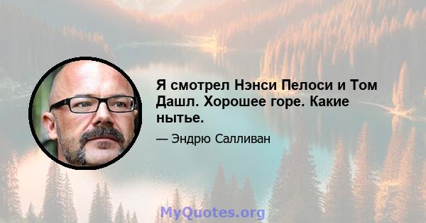 Я смотрел Нэнси Пелоси и Том Дашл. Хорошее горе. Какие нытье.