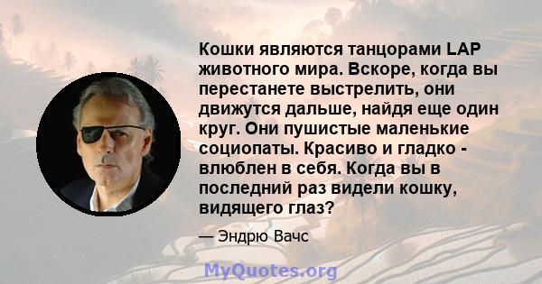 Кошки являются танцорами LAP животного мира. Вскоре, когда вы перестанете выстрелить, они движутся дальше, найдя еще один круг. Они пушистые маленькие социопаты. Красиво и гладко - влюблен в себя. Когда вы в последний