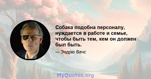 Собака подобна персоналу, нуждается в работе и семье, чтобы быть тем, кем он должен был быть.