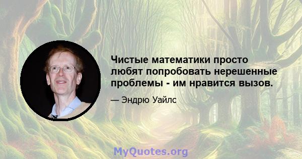 Чистые математики просто любят попробовать нерешенные проблемы - им нравится вызов.