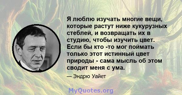 Я люблю изучать многие вещи, которые растут ниже кукурузных стеблей, и возвращать их в студию, чтобы изучить цвет. Если бы кто -то мог поймать только этот истинный цвет природы - сама мысль об этом сводит меня с ума.