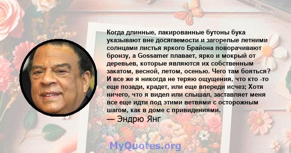 Когда длинные, лакированные бутоны бука указывают вне досягаемости и загорелые летними солнцами листья яркого Брайона поворачивают бронзу, а Gossamer плавает, ярко и мокрый от деревьев, которые являются их собственным