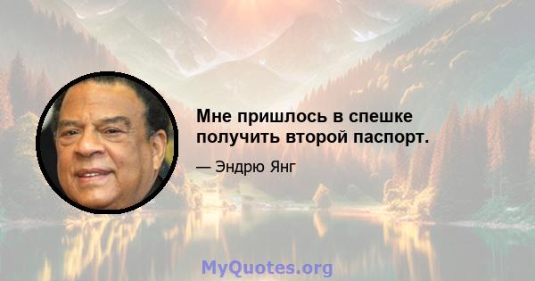 Мне пришлось в спешке получить второй паспорт.