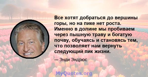 Все хотят добраться до вершины горы, но на пике нет роста. Именно в долине мы пробиваем через пышную траву и богатую почву, обучаясь и становясь тем, что позволяет нам вернуть следующий пик жизни.