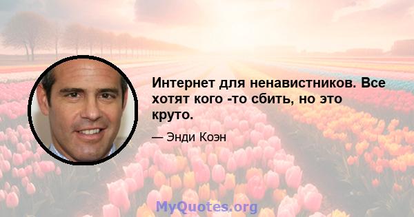 Интернет для ненавистников. Все хотят кого -то сбить, но это круто.