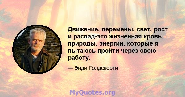 Движение, перемены, свет, рост и распад-это жизненная кровь природы, энергии, которые я пытаюсь пройти через свою работу.