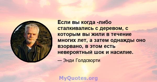 Если вы когда -либо сталкивались с деревом, с которым вы жили в течение многих лет, а затем однажды оно взорвано, в этом есть невероятный шок и насилие.