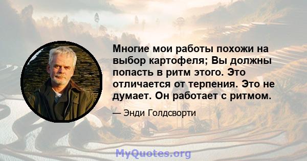 Многие мои работы похожи на выбор картофеля; Вы должны попасть в ритм этого. Это отличается от терпения. Это не думает. Он работает с ритмом.