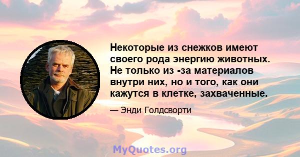 Некоторые из снежков имеют своего рода энергию животных. Не только из -за материалов внутри них, но и того, как они кажутся в клетке, захваченные.