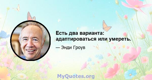 Есть два варианта: адаптироваться или умереть.