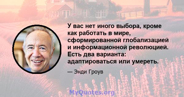 У вас нет иного выбора, кроме как работать в мире, сформированной глобализацией и информационной революцией. Есть два варианта: адаптироваться или умереть.