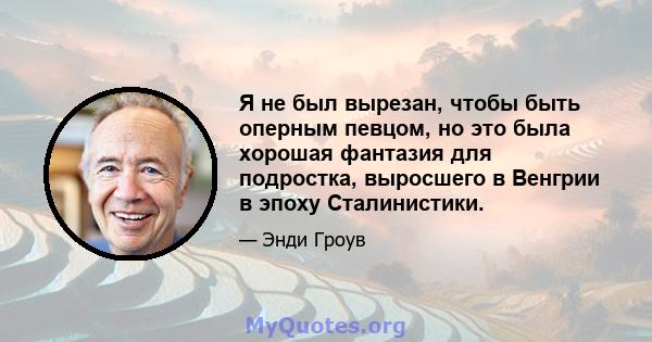 Я не был вырезан, чтобы быть оперным певцом, но это была хорошая фантазия для подростка, выросшего в Венгрии в эпоху Сталинистики.