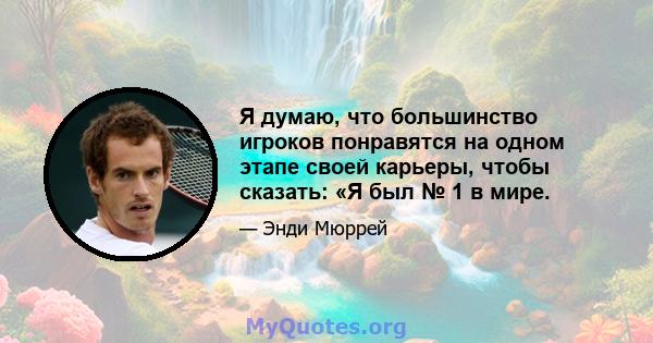 Я думаю, что большинство игроков понравятся на одном этапе своей карьеры, чтобы сказать: «Я был № 1 в мире.