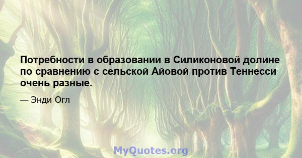 Потребности в образовании в Силиконовой долине по сравнению с сельской Айовой против Теннесси очень разные.