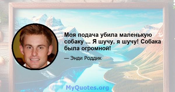 Моя подача убила маленькую собаку ... Я шучу, я шучу! Собака была огромной!