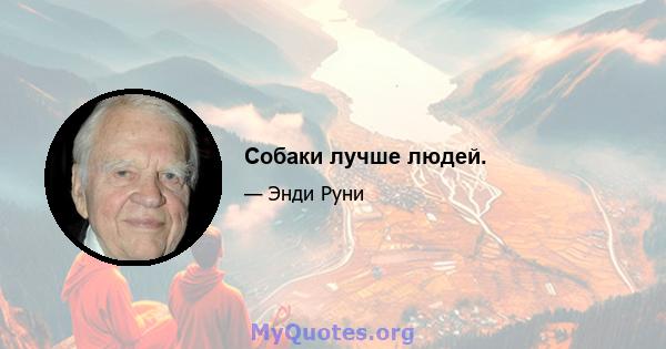 Собаки лучше людей.