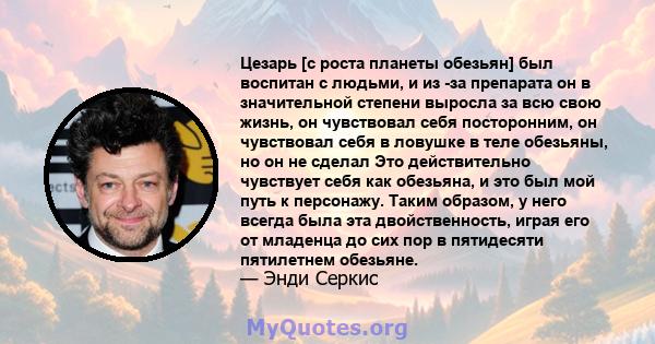 Цезарь [с роста планеты обезьян] был воспитан с людьми, и из -за препарата он в значительной степени выросла за всю свою жизнь, он чувствовал себя посторонним, он чувствовал себя в ловушке в теле обезьяны, но он не