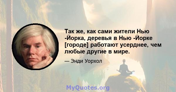 Так же, как сами жители Нью -Йорка, деревья в Нью -Йорке [городе] работают усерднее, чем любые другие в мире.