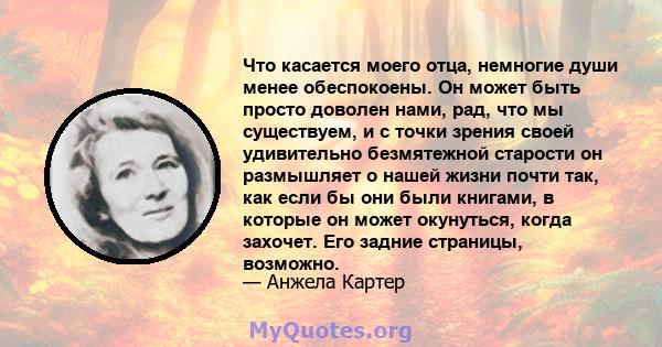 Что касается моего отца, немногие души менее обеспокоены. Он может быть просто доволен нами, рад, что мы существуем, и с точки зрения своей удивительно безмятежной старости он размышляет о нашей жизни почти так, как