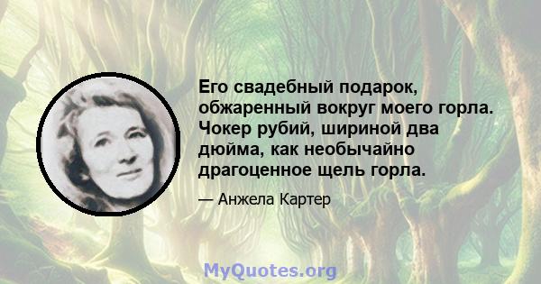 Его свадебный подарок, обжаренный вокруг моего горла. Чокер рубий, шириной два дюйма, как необычайно драгоценное щель горла.