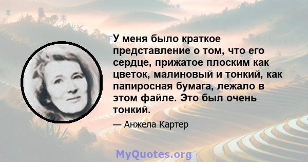 У меня было краткое представление о том, что его сердце, прижатое плоским как цветок, малиновый и тонкий, как папиросная бумага, лежало в этом файле. Это был очень тонкий.