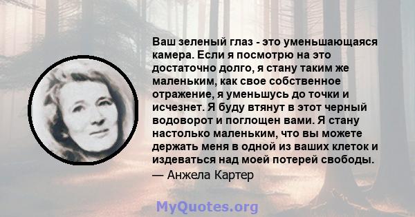 Ваш зеленый глаз - это уменьшающаяся камера. Если я посмотрю на это достаточно долго, я стану таким же маленьким, как свое собственное отражение, я уменьшусь до точки и исчезнет. Я буду втянут в этот черный водоворот и