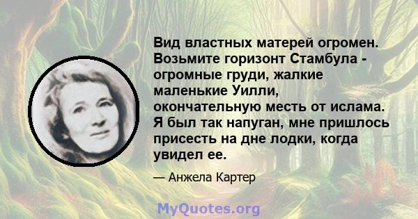 Вид властных матерей огромен. Возьмите горизонт Стамбула - огромные груди, жалкие маленькие Уилли, окончательную месть от ислама. Я был так напуган, мне пришлось присесть на дне лодки, когда увидел ее.